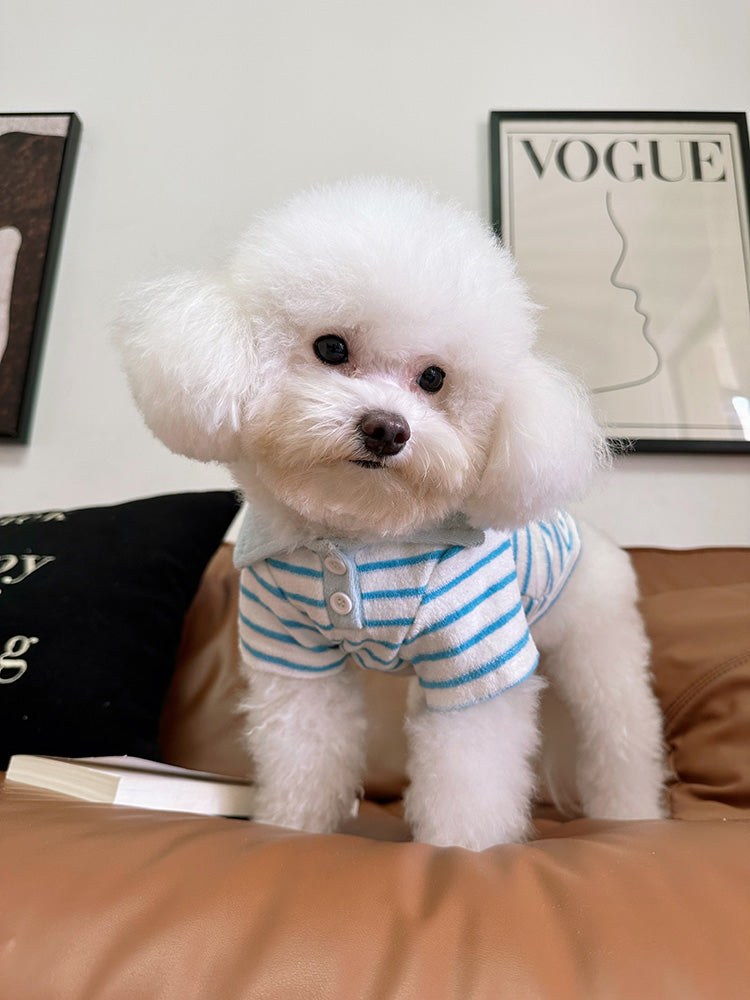Dog Stripe Polo Shirt for small medium dogs by Frenchiely