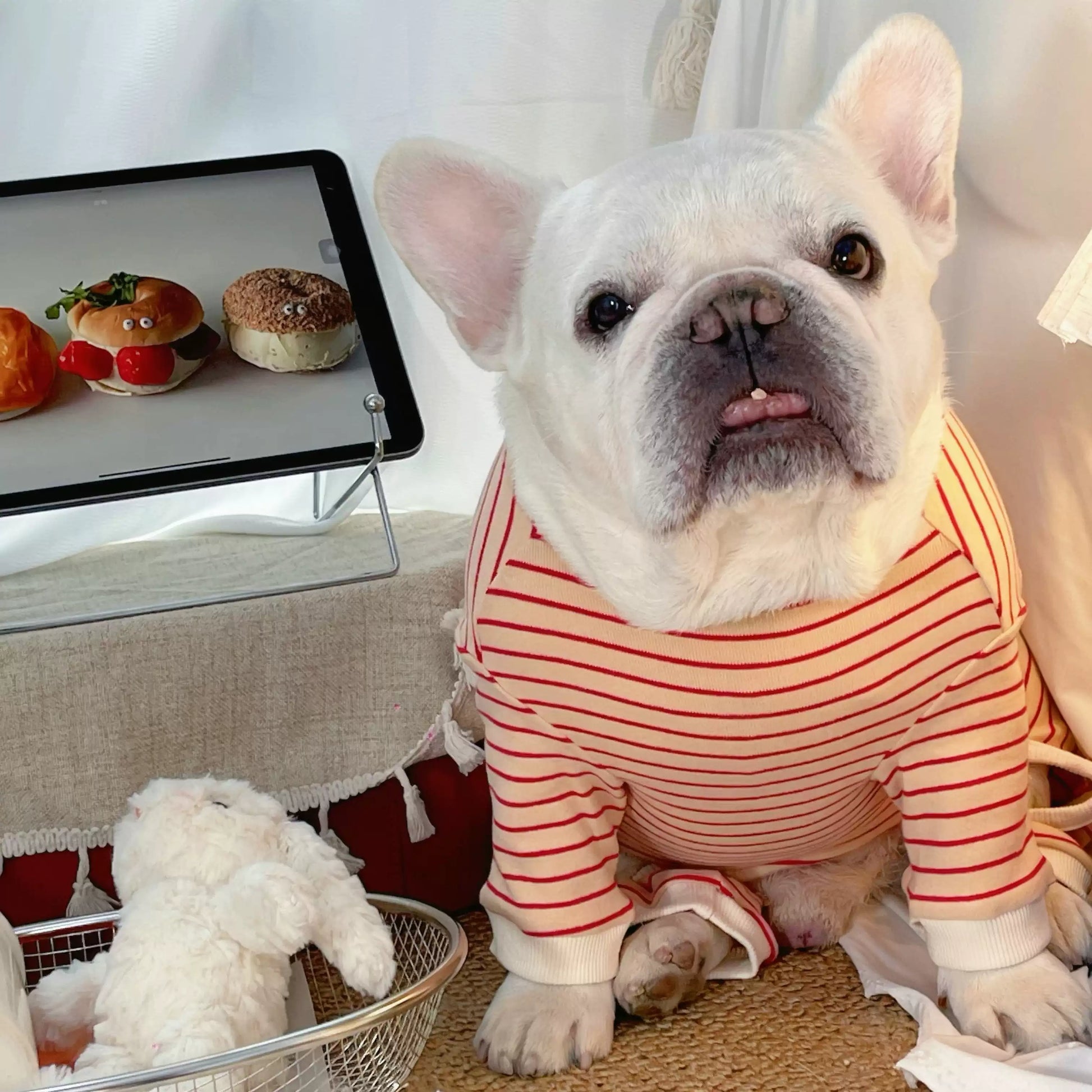 Medium Dog Stripe Onesie PJs dogcomfortablestripeonesiejumpsuitformediumdogbreedsbyFrenchiely_3