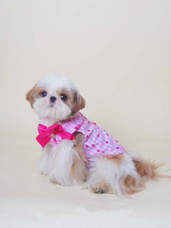 Fancy Bowtie Shirt