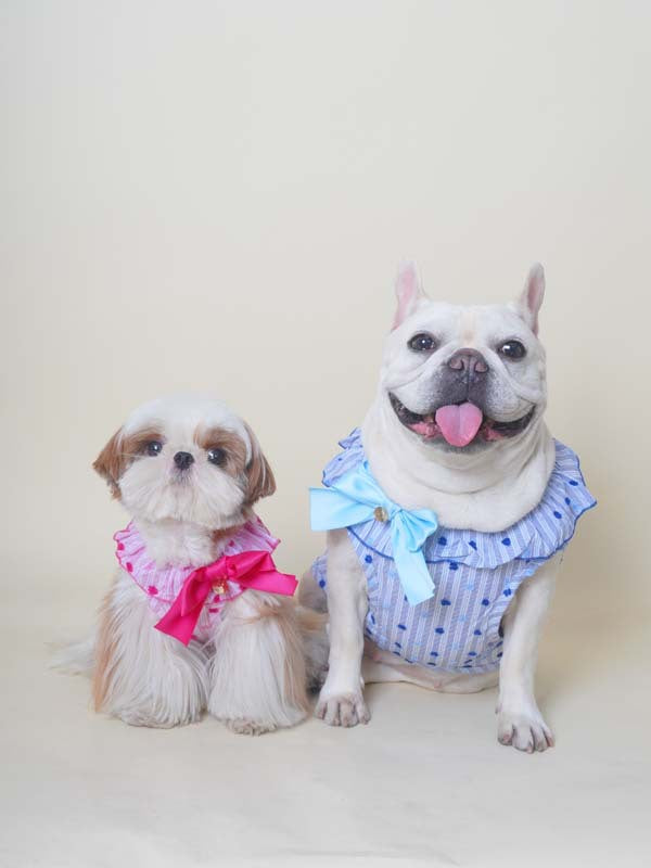 Fancy Bowtie Shirt