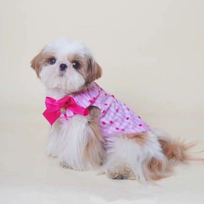 Fancy Bowtie Shirt