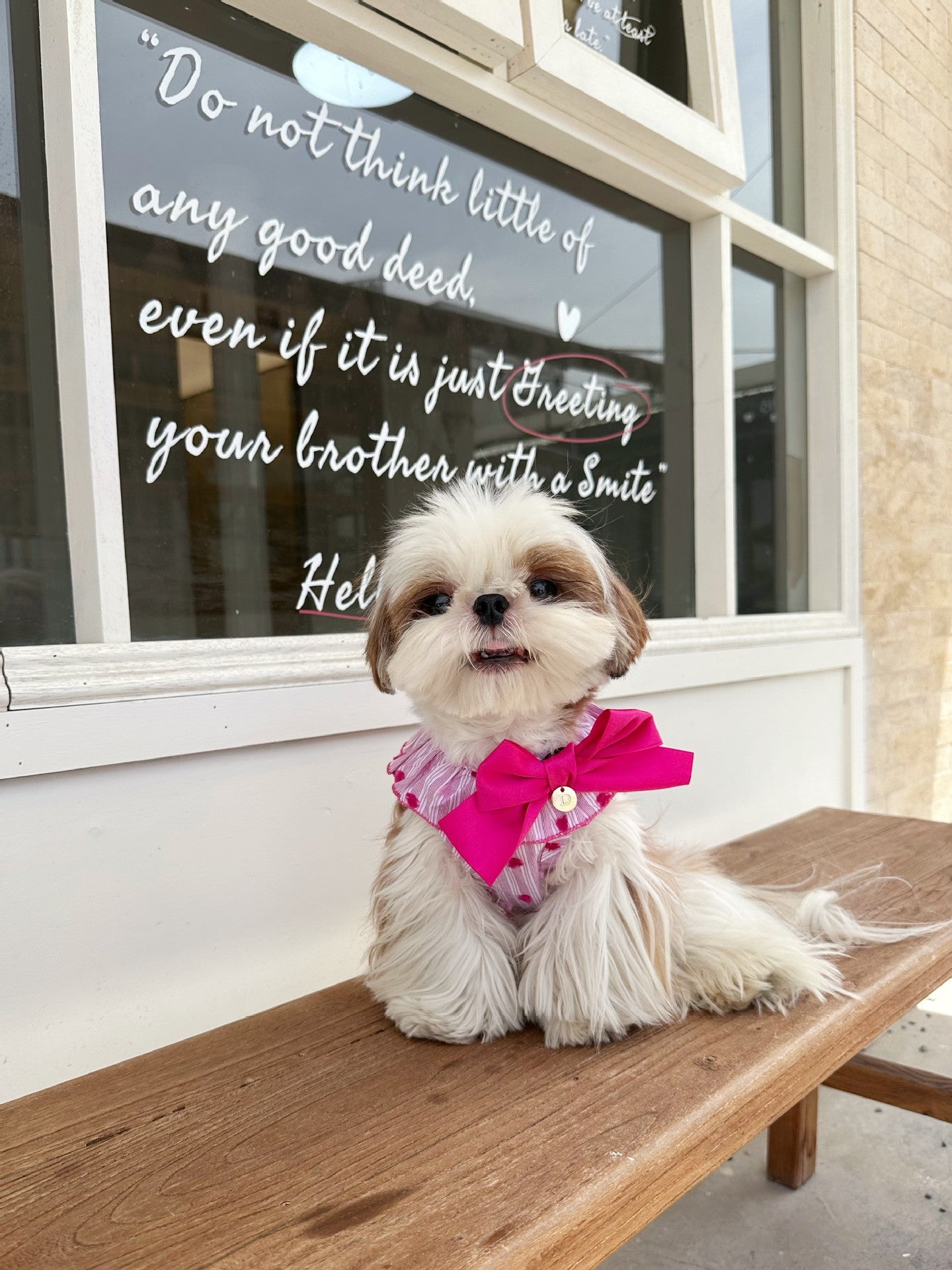 Fancy Bowtie Shirt