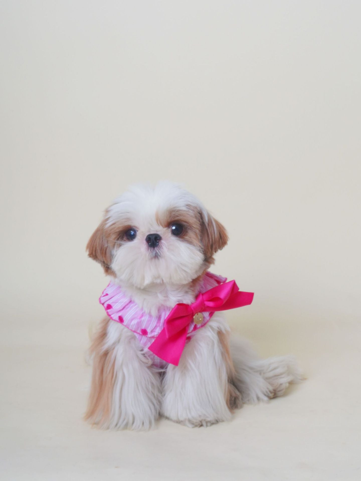 Fancy Bowtie Shirt