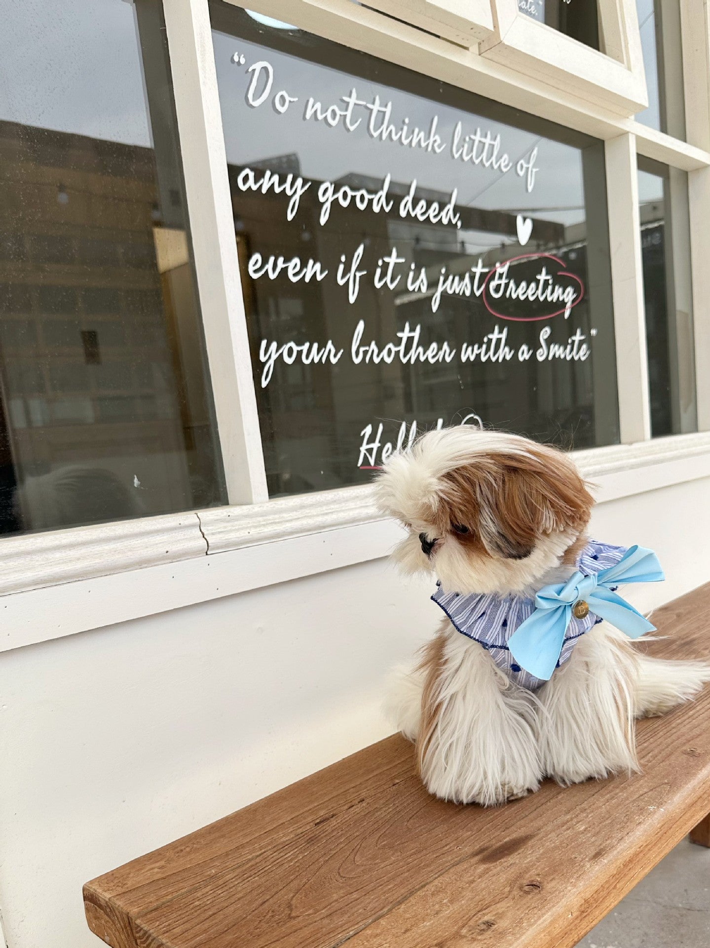 Fancy Bowtie Shirt