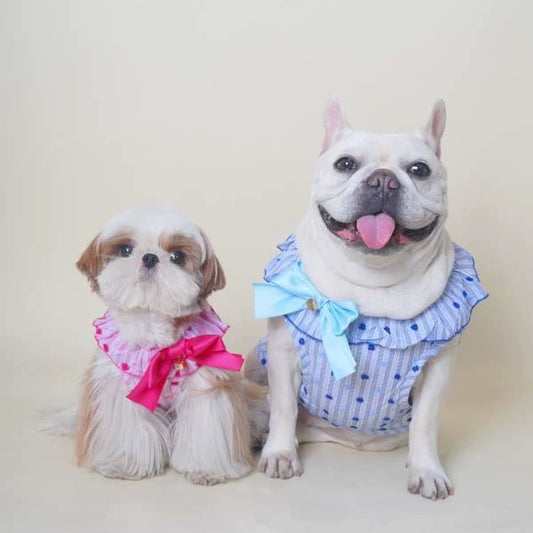 Fancy Bowtie Shirt