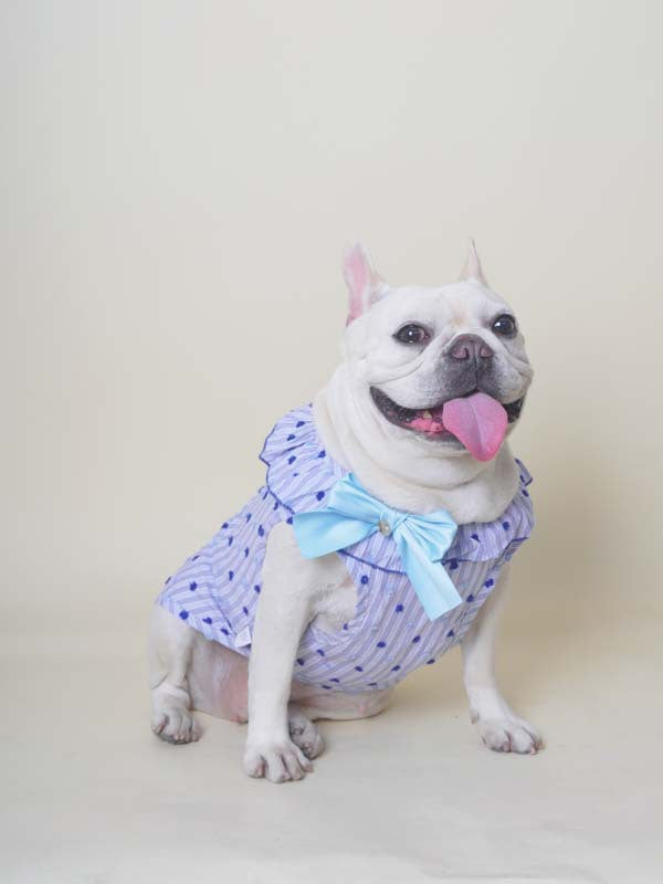 Fancy Bowtie Shirt