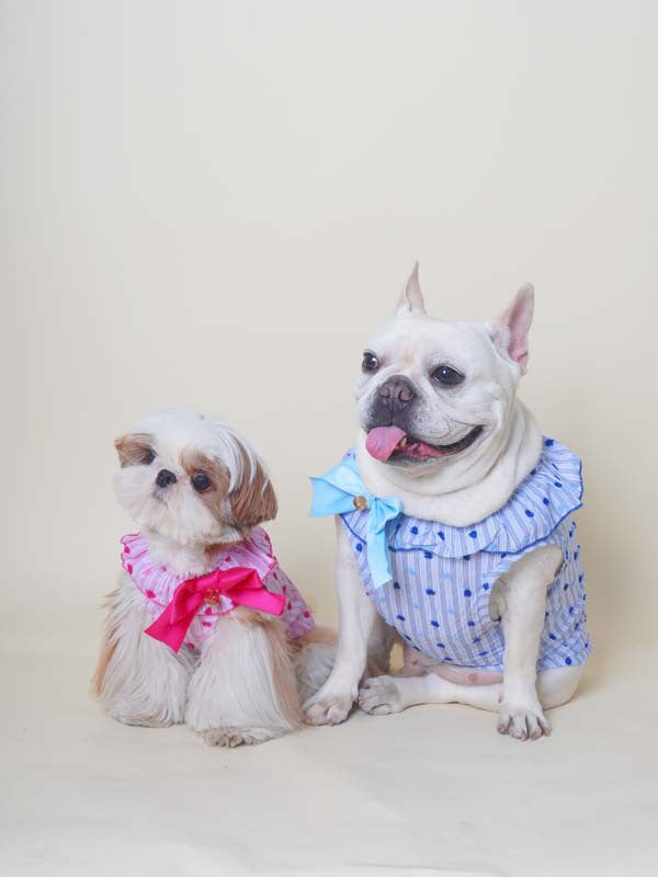 Fancy Bowtie Shirt