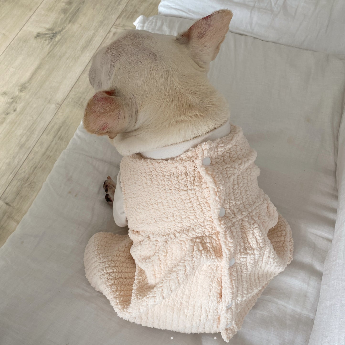 Warm Dress Beige dogdressformediumdoginwinter_1