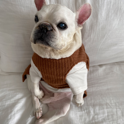 Warm Dress dogdressformediumdoginwinter_1