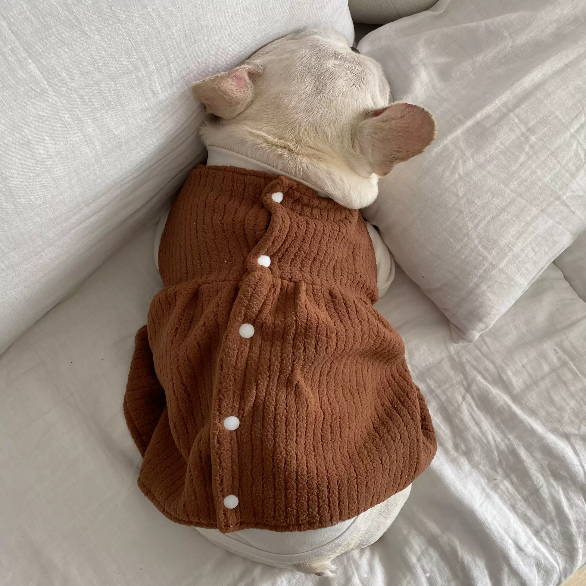 Warm Dress dogdressformediumdoginwinter_4