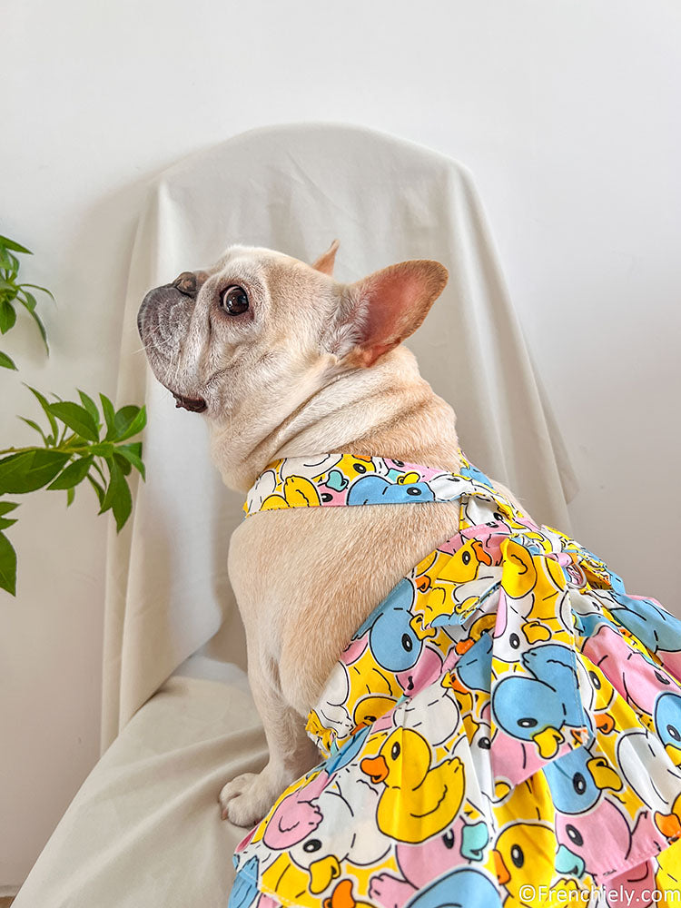 dog ducky dress for small medium dogs by frenchiely