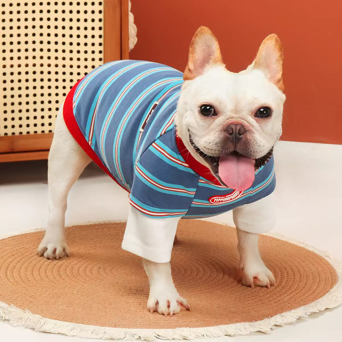 Faux Two Piece Blue & White Shirt dogfauxtwopiecebluestripeshirtforsmallandmediumdogbreeds_1