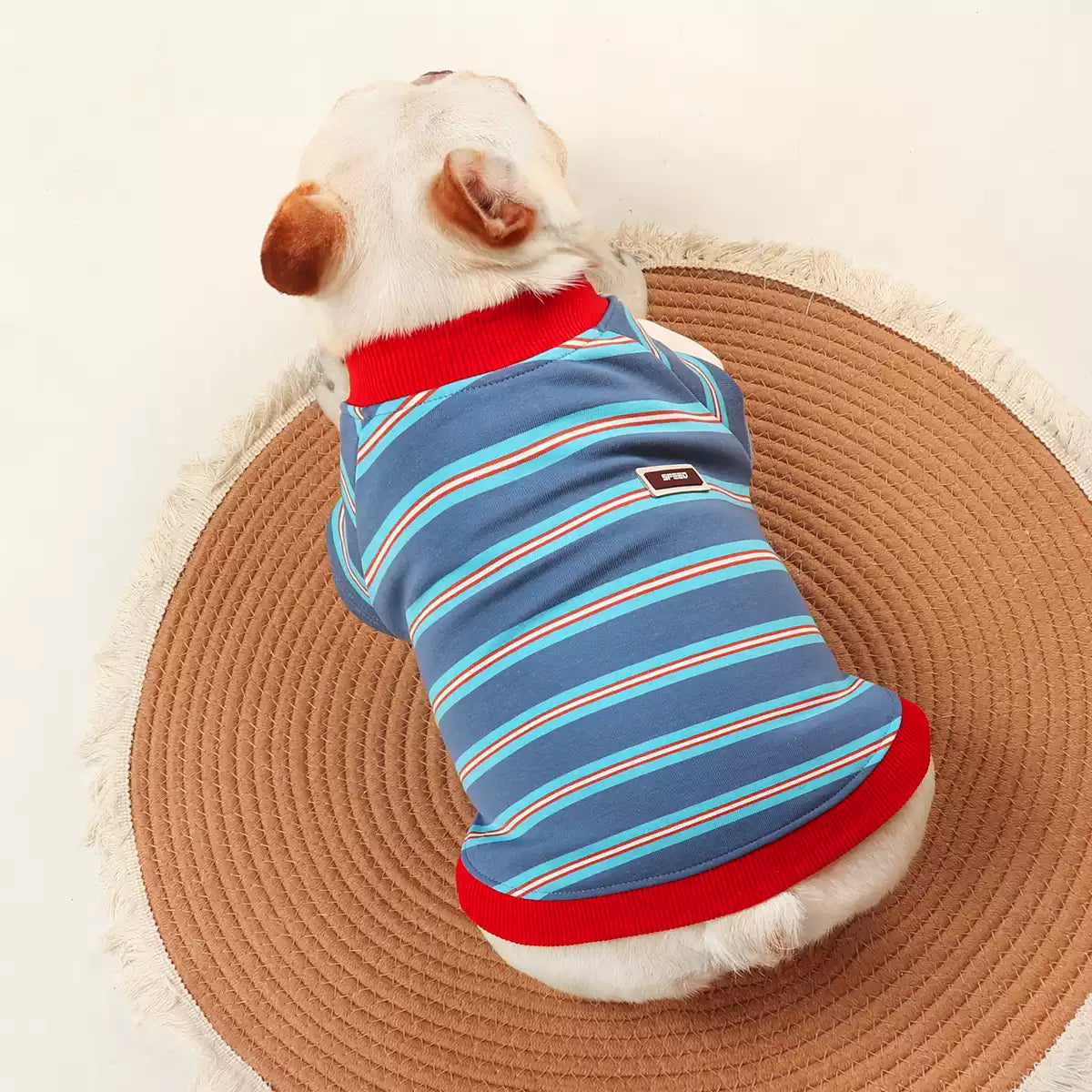 Faux Two Piece Blue & White Shirt 4XL dogfauxtwopiecebluestripeshirtforsmallandmediumdogbreeds_3