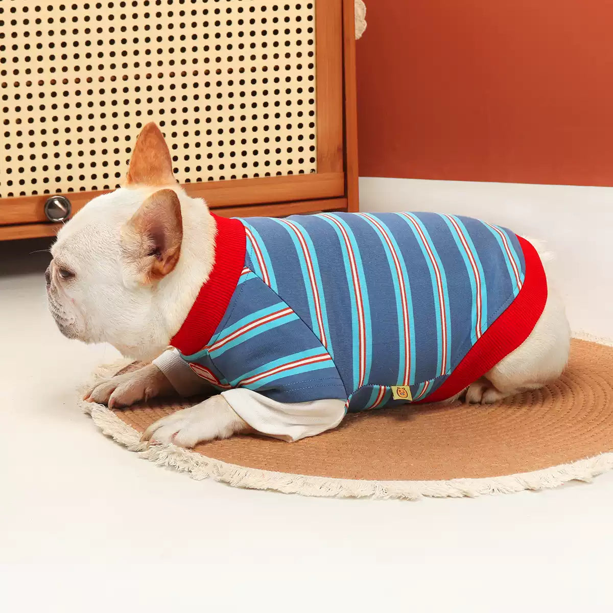 Faux Two Piece Blue & White Shirt dogfauxtwopiecebluestripeshirtforsmallandmediumdogbreeds_4