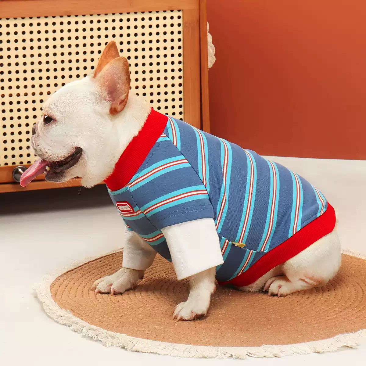 Faux Two Piece Blue & White Shirt dogfauxtwopiecebluestripeshirtforsmallandmediumdogbreeds_5