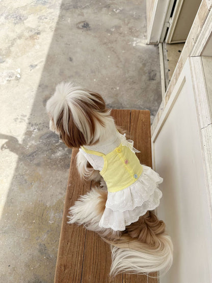 Faux Two Piece Cotton Lace Dress