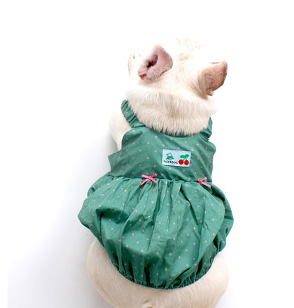 Dog Summer Polka Dress Green dogfloralsummerdressforsmallmediumdogsbyFrenchiely_10