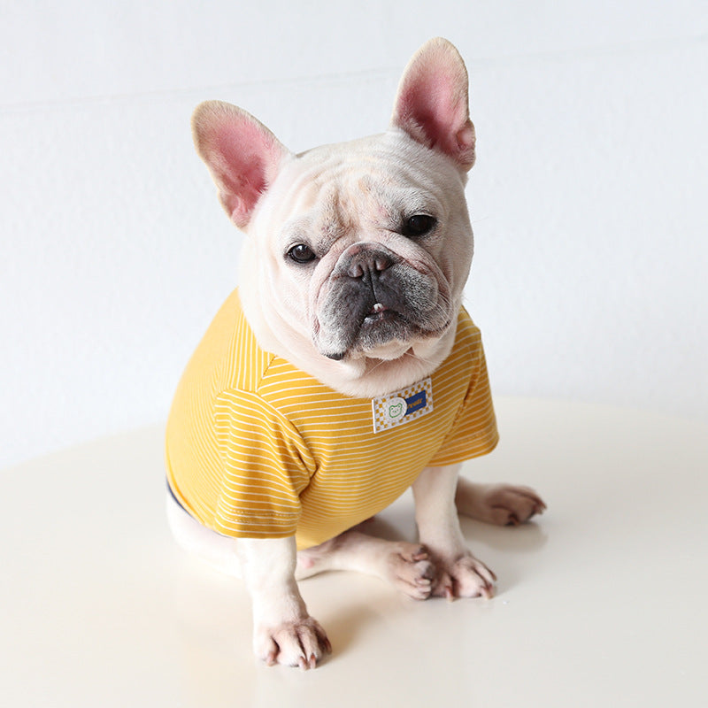 Stretchy Bear Shirt