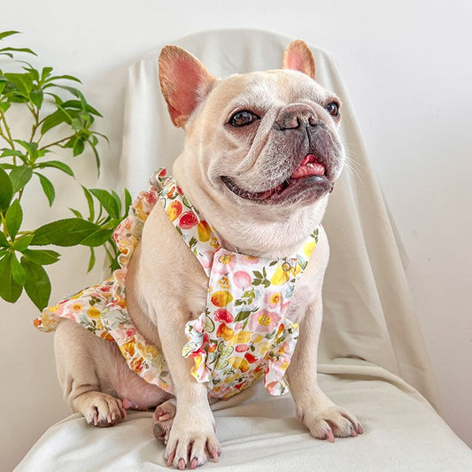 dog fruit print summer dress for small medium dogs