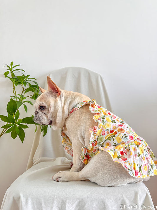 dog fruit print summer dress for small medium dogs