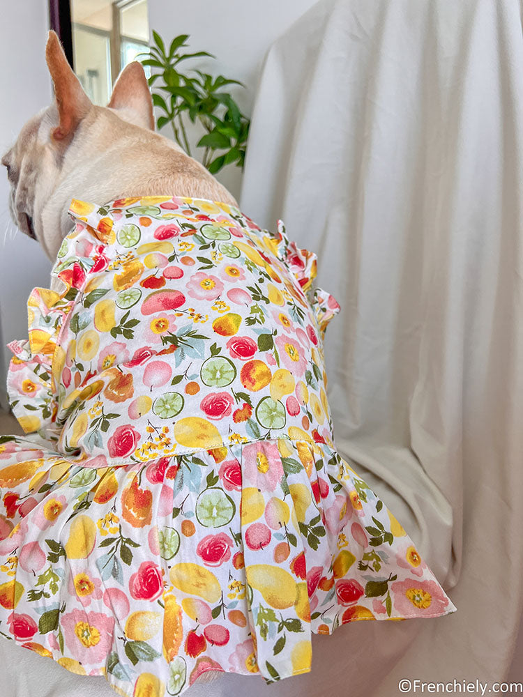 Fruit Summer Dress