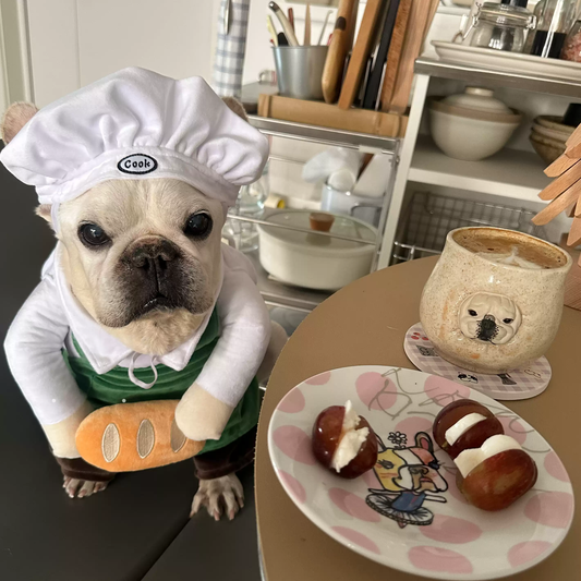 Funny Chef Costume dogfunnychefcostumeoutfitsformediumdogs_3