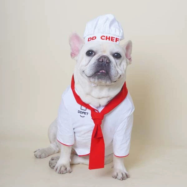 Funny Chef Costume dogfunnyhalloweenchefcostumeoutfitsforsmallmediumdogs_1