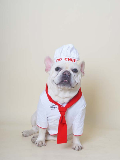 Funny Chef Costume dogfunnyhalloweenchefcostumeoutfitsforsmallmediumdogs_3