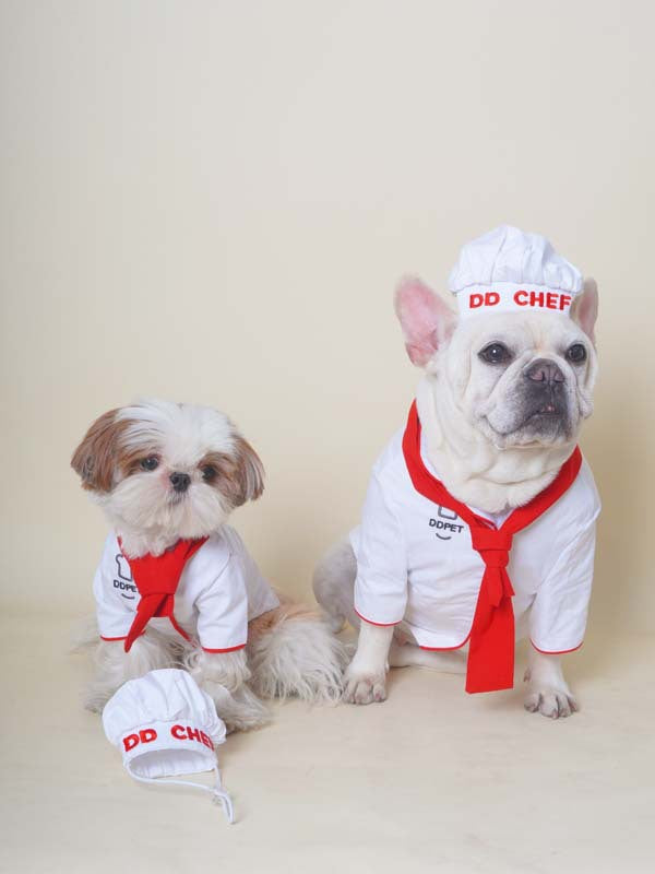 Funny Chef Costume dogfunnyhalloweenchefcostumeoutfitsforsmallmediumdogs_7