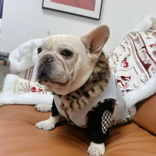 Warm Light Blue Vest dogfurjacketcoatformediumdogsbyFrenchiely_3