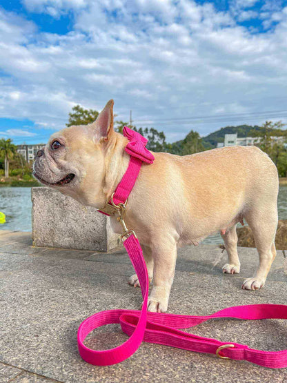 Dog Fuscia Leash Set - Frenchiely