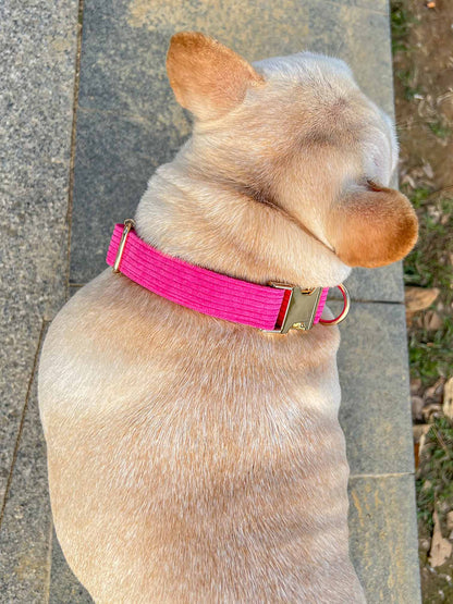 Dog Fuscia Corduroy Collar - Frenchiely