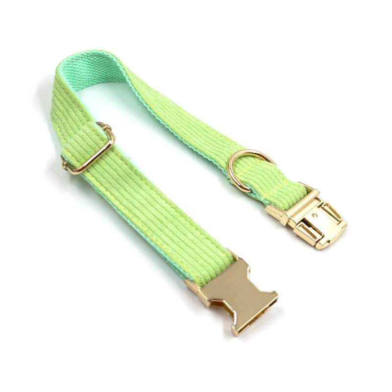Dog Light Green Collar - Frenchiely