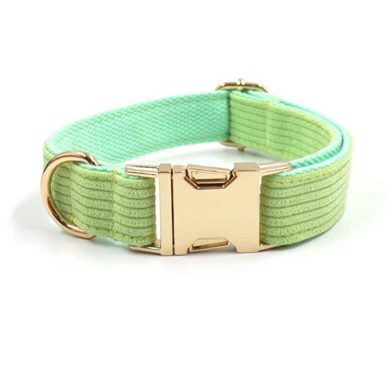 Dog Light Green Collar - Frenchiely