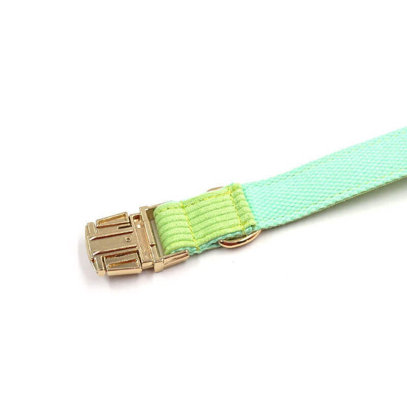 Dog Light Green Collar - Frenchiely