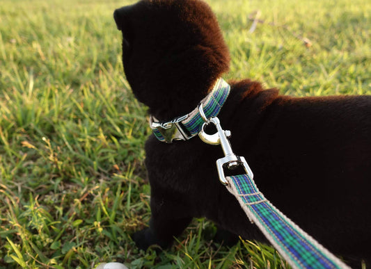 Dog Plaid Leash - Frenchiely