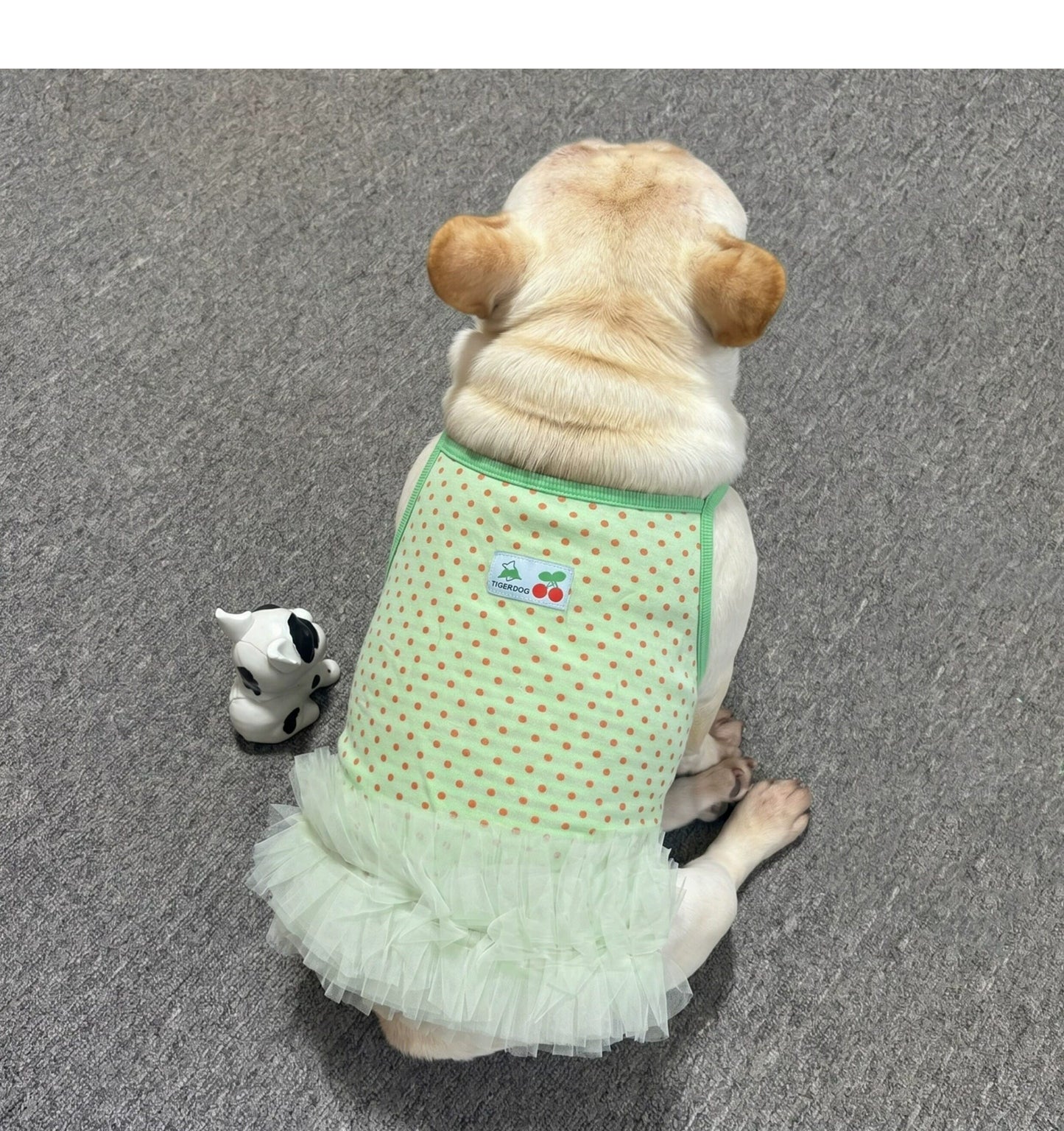 Dog Green Polka Tutu Dress doggreenpolkatutudressformediumdogs_4