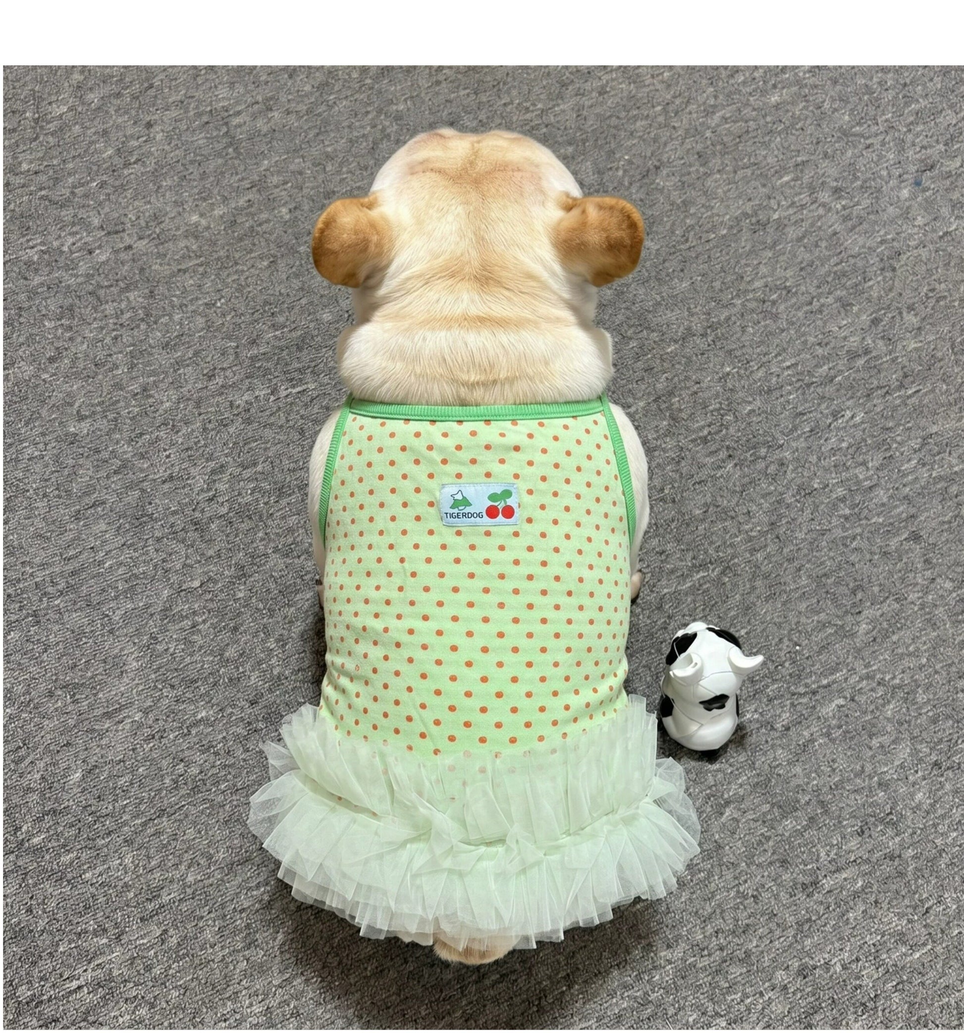 Dog Green Polka Tutu Dress doggreenpolkatutudressformediumdogs_8