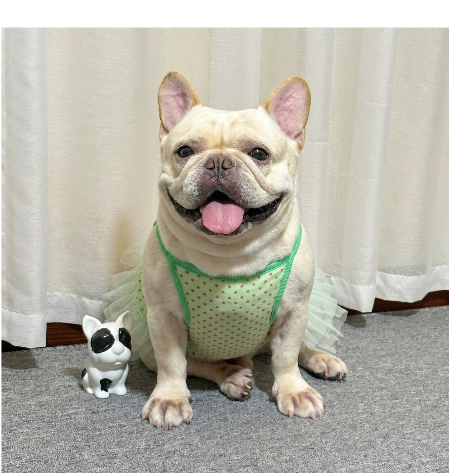 Dog Green Polka Tutu Dress doggreenpolkatutudressformediumdogs_9