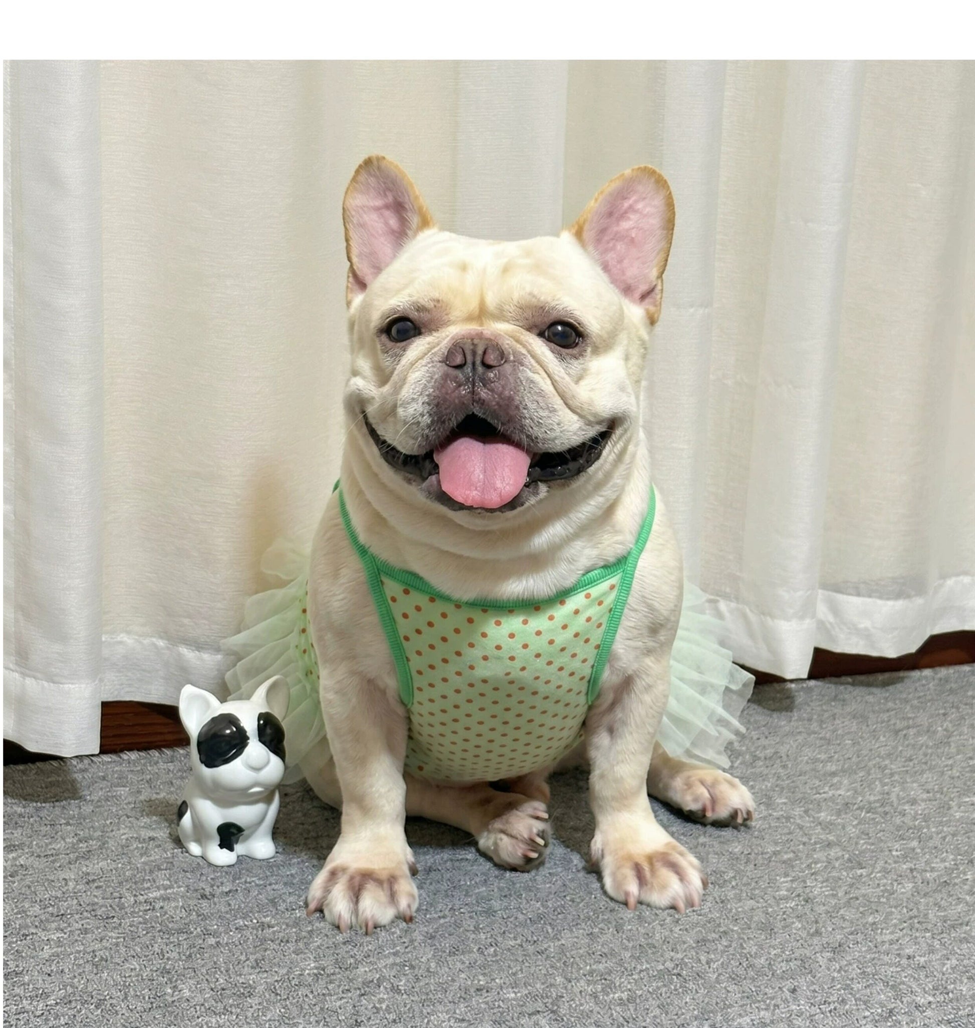 Dog Green Polka Tutu Dress doggreenpolkatutudressformediumdogs_9