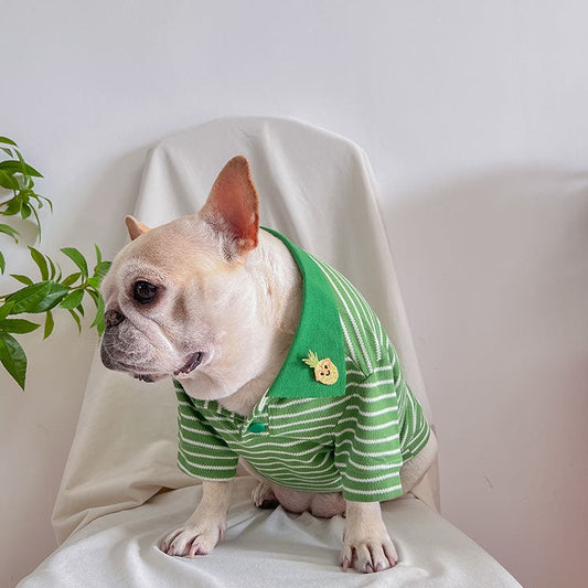 dog green striped polo shirt sweater for small medium dogs 