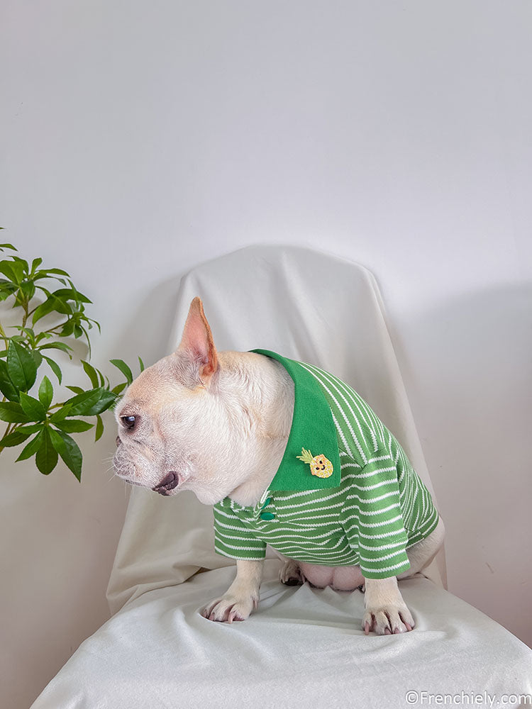 dog green striped polo shirt sweater for small medium dogs 