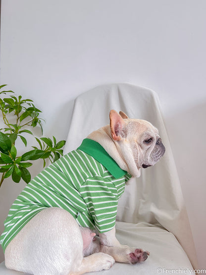 dog green striped polo shirt sweater for small medium dogs 