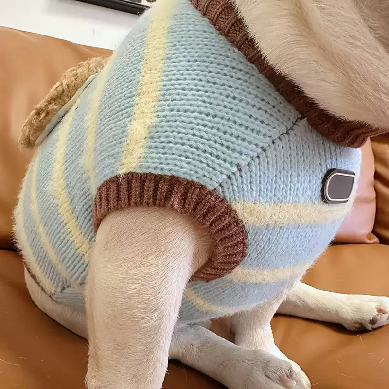 Blue Bear Sweater doggreenstripebearsweaterformediumdogs_3