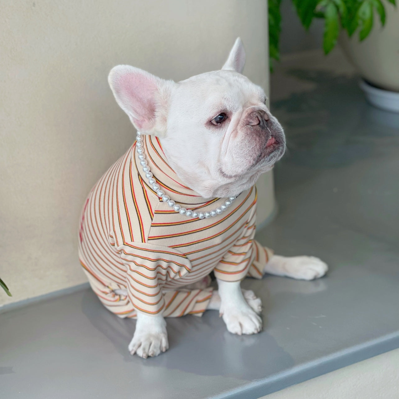 Dog Stripe Onesie Pajamas - Frenchiely