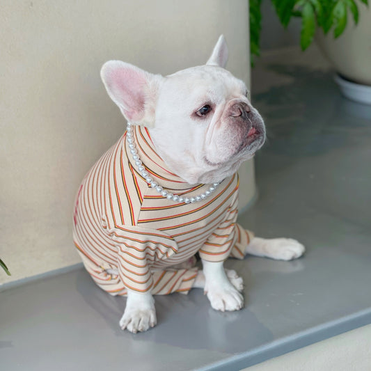 Stripe Loungewear 4XL doggreenstripedonesiepajamasforfrenchbulldogsbyfrenchiely022_4