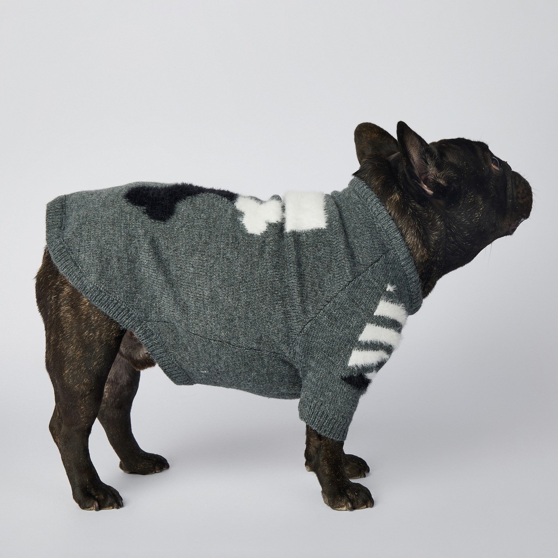 Dog Grey Woof Sweater - Frenchiely