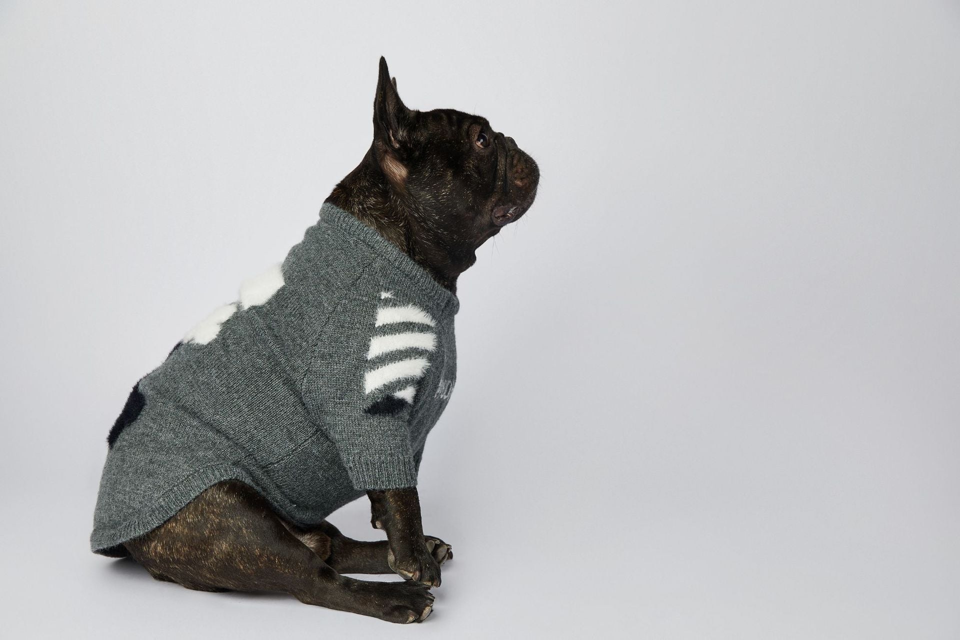 Dog Grey Woof Sweater - Frenchiely