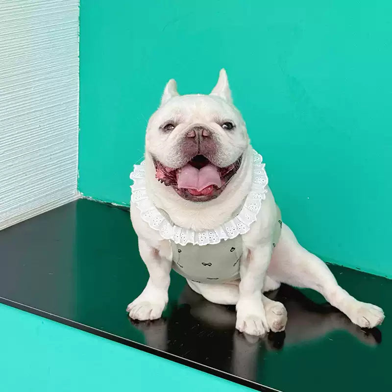 Decorative Lace Bowtie Shirt