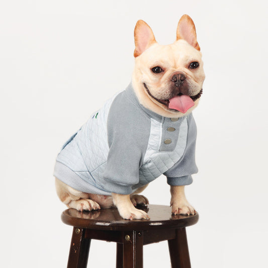 Dog Grey Jumper Shirt for medium dogs by frenchiely